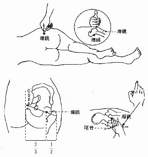 還跳穴|環跳穴:詳細解釋,穴位解剖,定位,主治病症,主要功效,治。